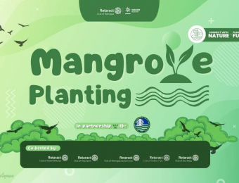 Gardner College Rotaract: Mangrove Planting